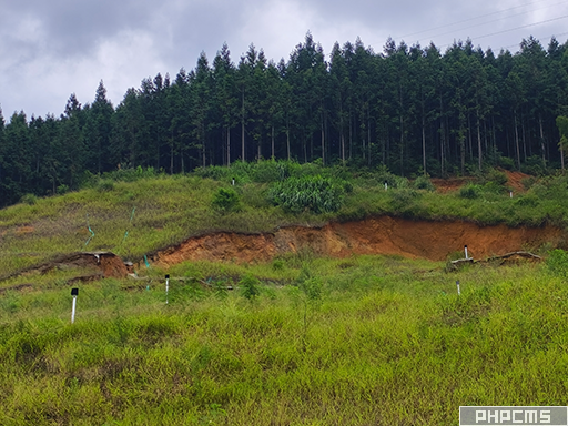 邊坡AI在線視覺(jué)監(jiān)測(cè)